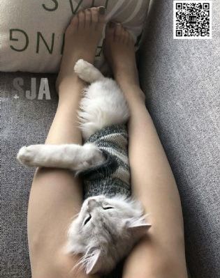 日本老女人hd