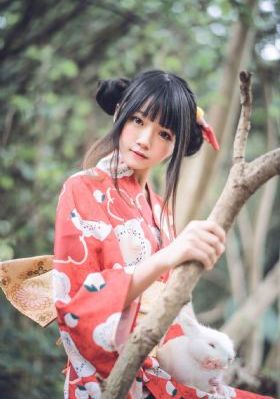 家族荣耀之继承者国语版