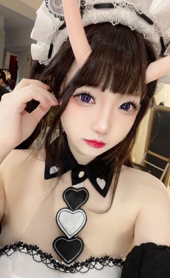 新进社员