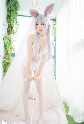 驯服高傲女