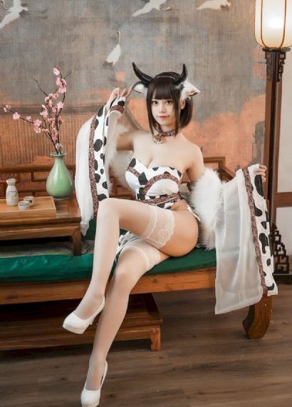 荣誉电视剧全集免费观看