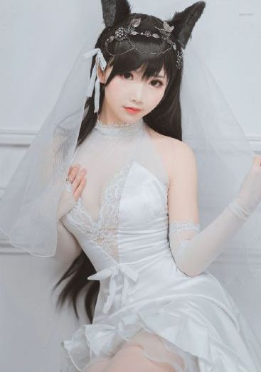 功夫联盟